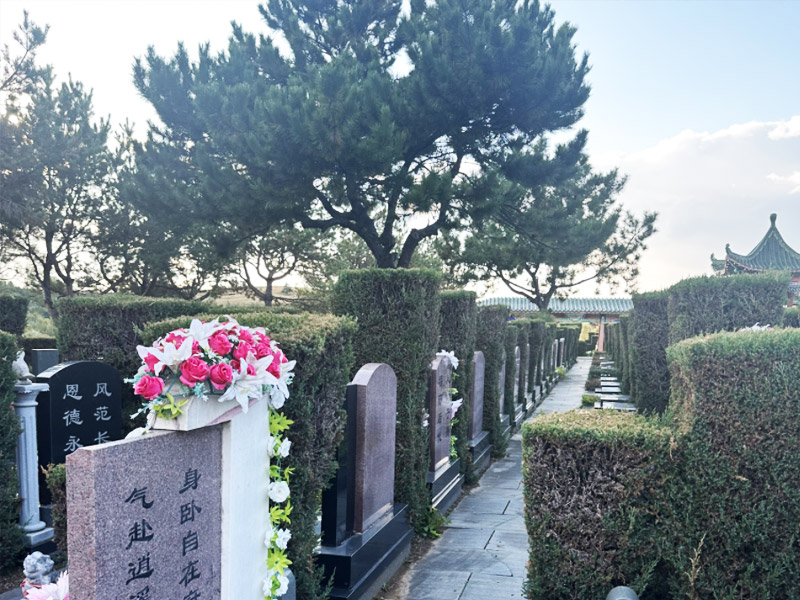 墓园环境